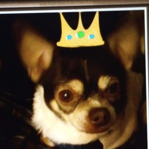 Meet your Posher, Karen